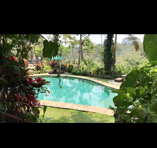 阿拉姆萨瑞克利可酒店主图