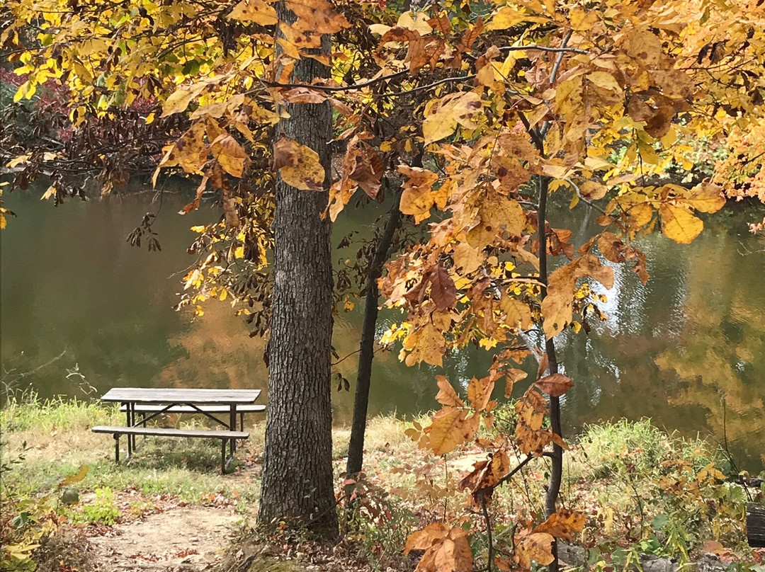 Stephen A Forbes State Park-Kinmundy必去景点