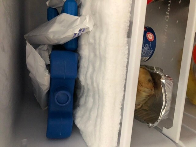 Tannum on the Beach Motel主图