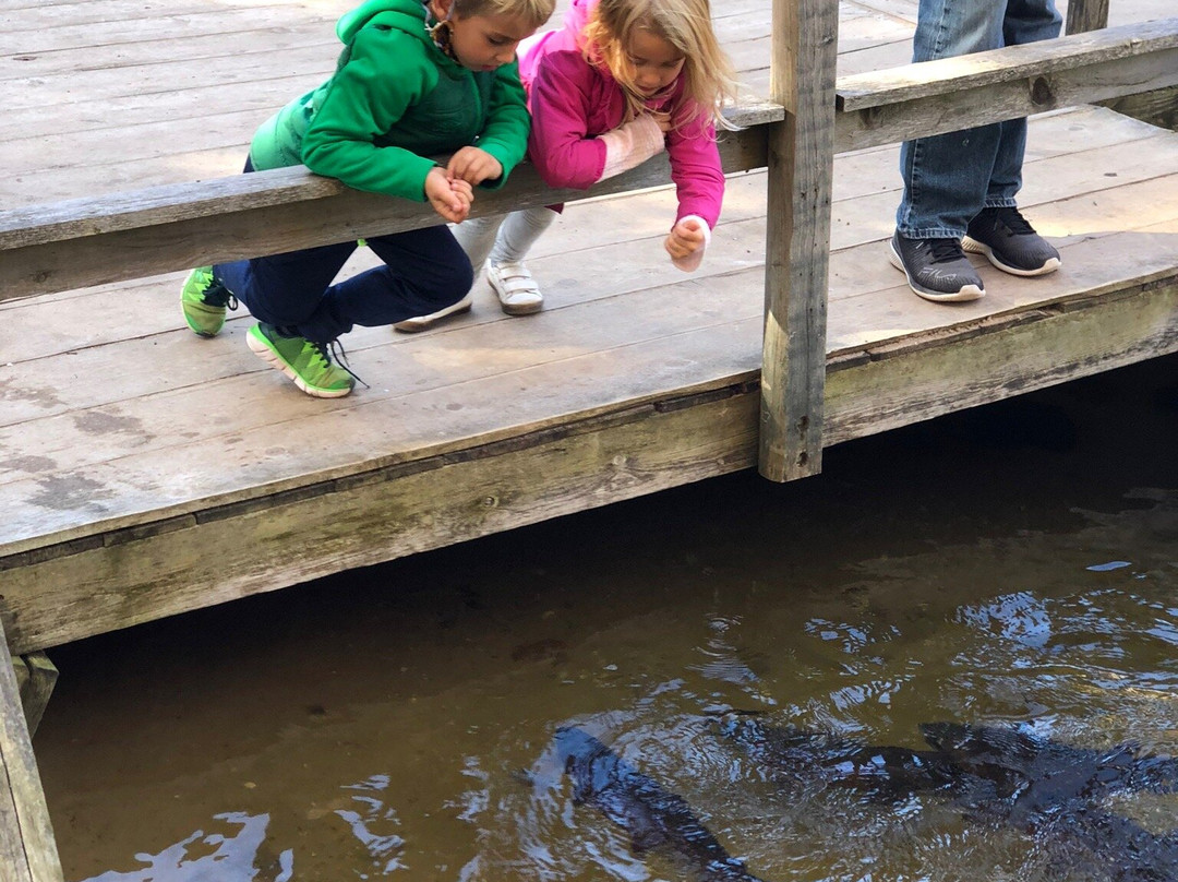 Pond Hill Farm-Harbor Springs必去景点