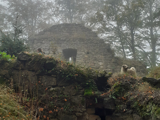 Nomad Society-布拉格必去景点