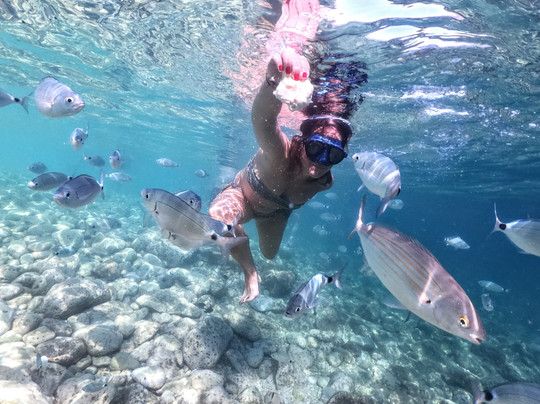 Kayak tours / Voga Voga-普拉必去景点