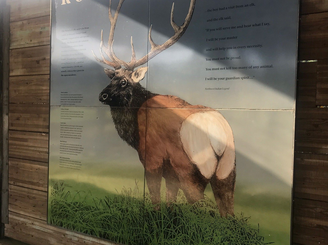 Dean Creek Elk Viewing Area景点图片