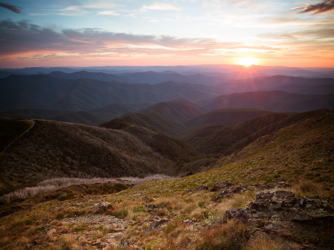 Mansfield Bushwalks景点图片