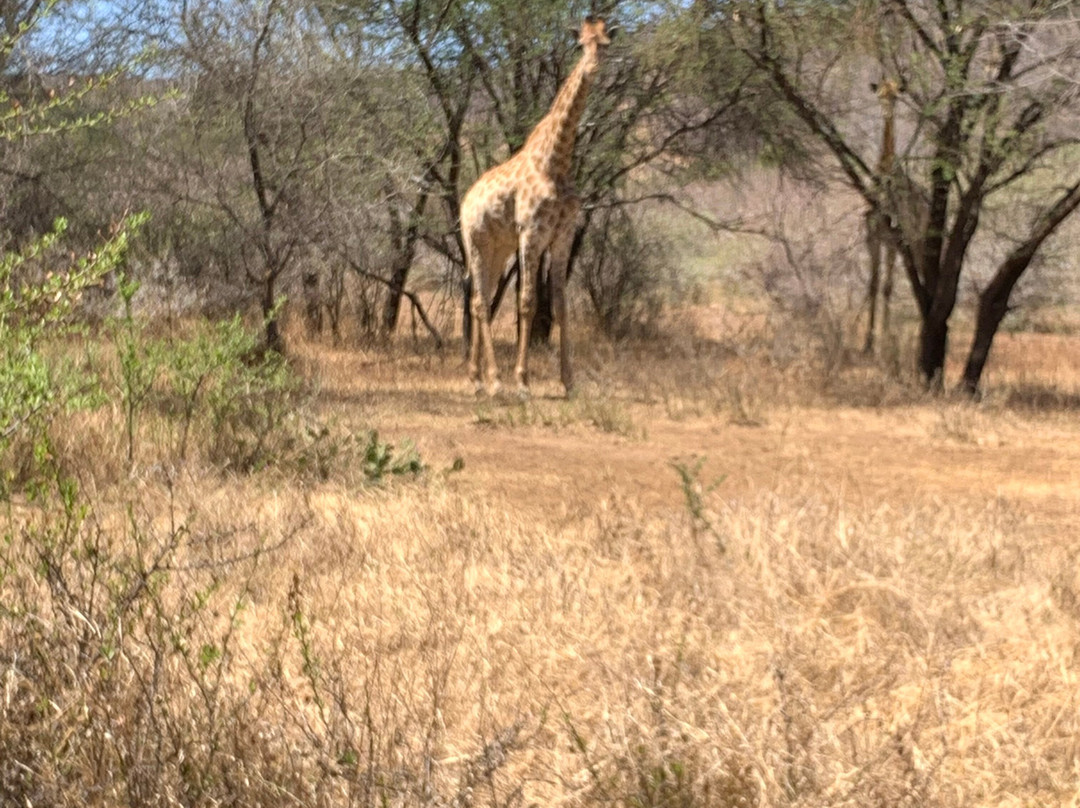 Mmpula Paradys Bosveld Lodge主图