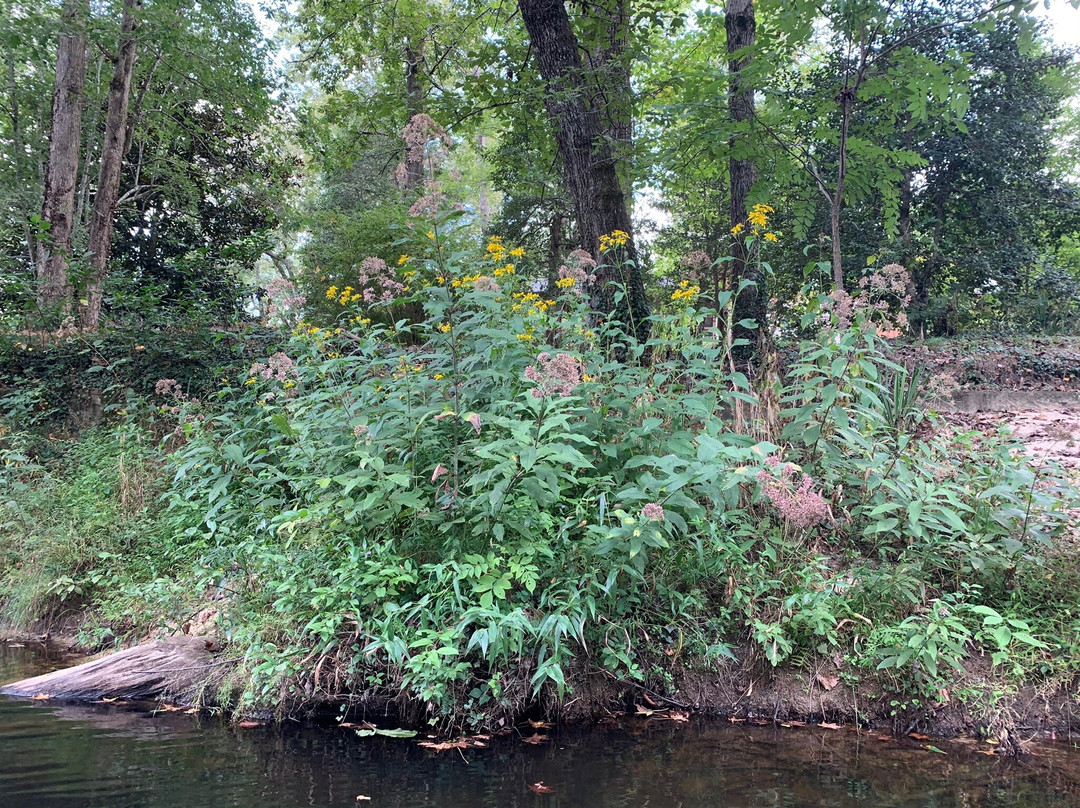 DeSoto State Park-Fort Payne必去景点