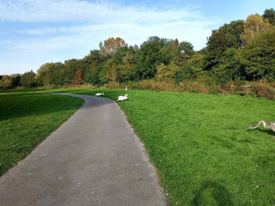 Sankey Valley Park景点图片