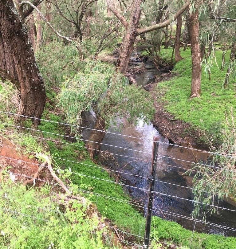 Peppermint Lane Lodge主图