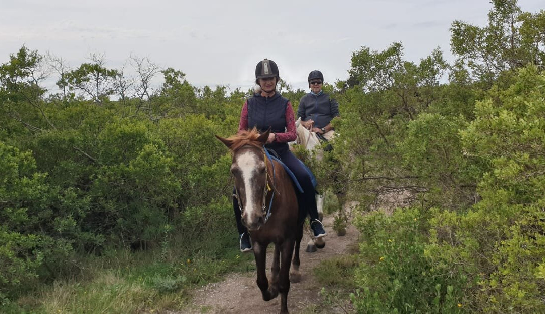 Featherfoot Beach Horse Trails & Riding School-杰佛瑞湾必去景点