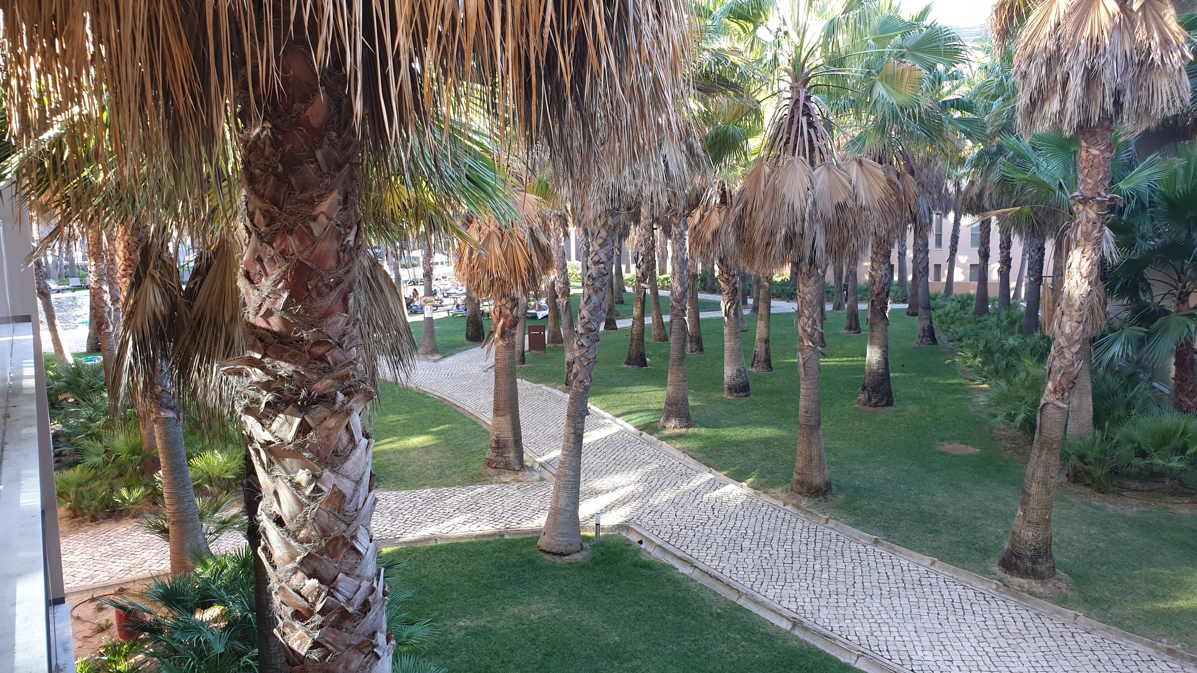 Marriott Residences Salgados Resort-酒店景观