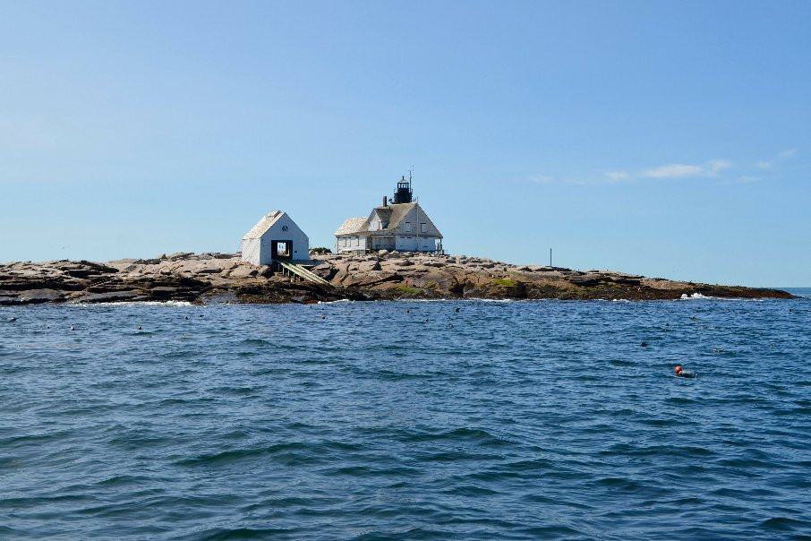 Acadia Fishing Tours景点图片