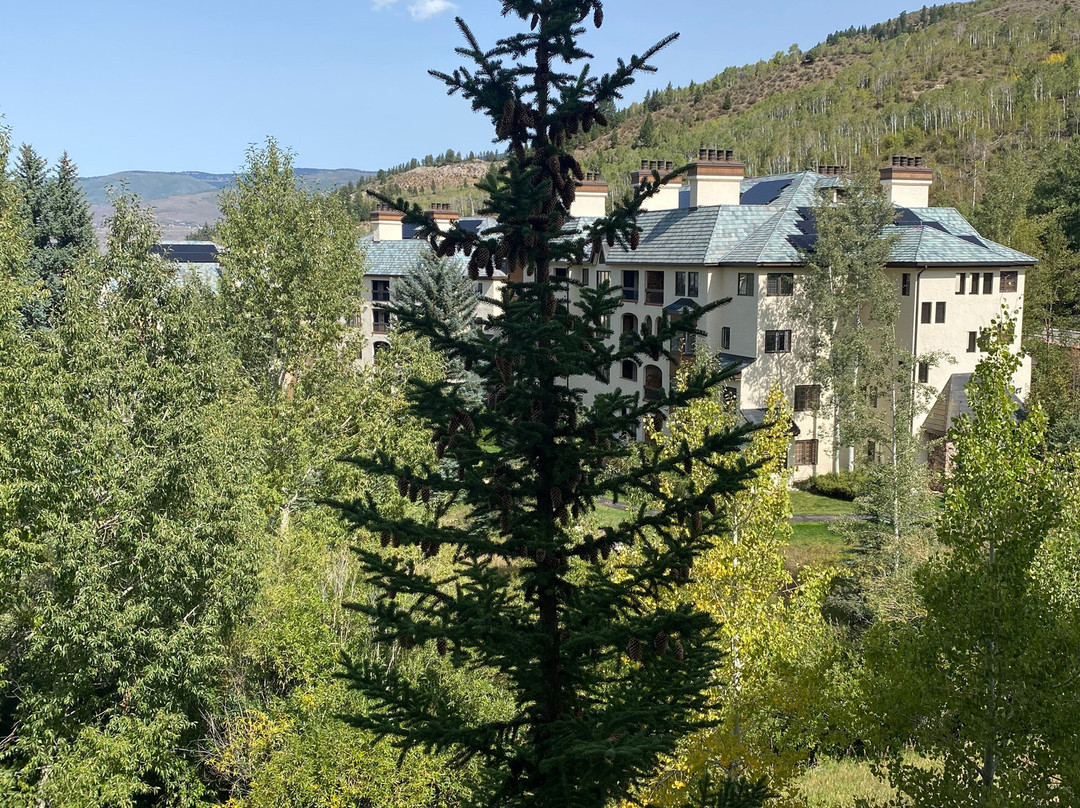 The Residences At Mountain Lodge主图