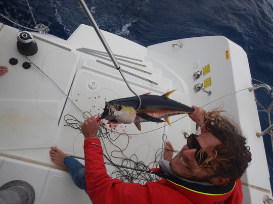 Arthur Sailing-努美阿必去景点