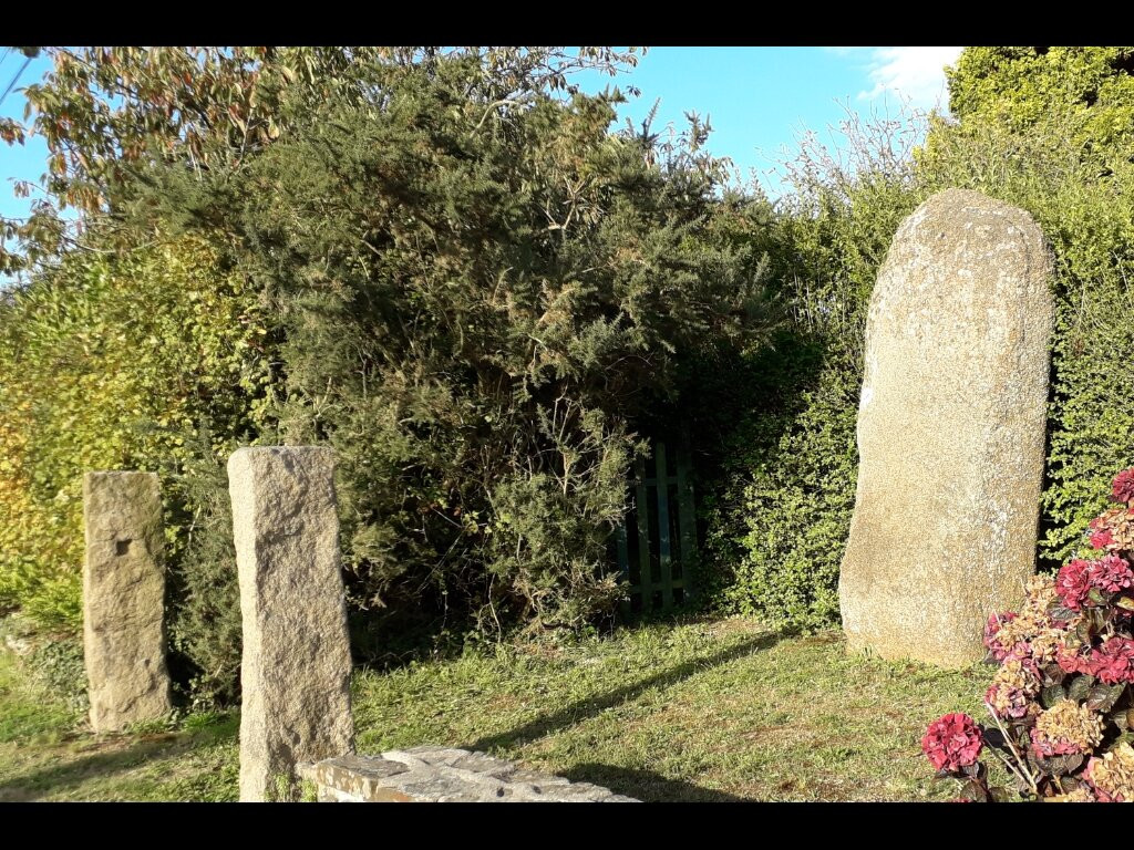 Menhir de Trémarche à Trégastel景点图片