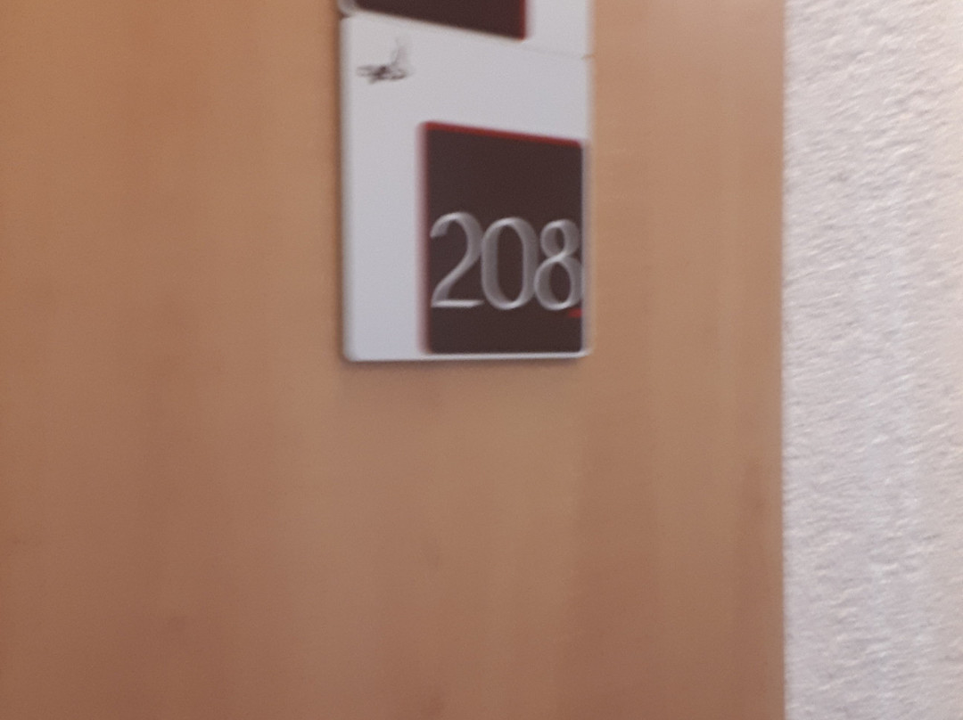 Ibis Jena City Hotel主图