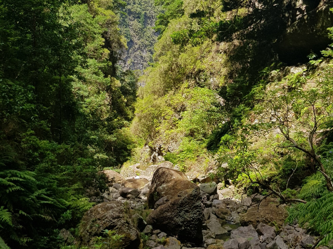 Pearl of the Atlantic Madeira-沙尔必去景点