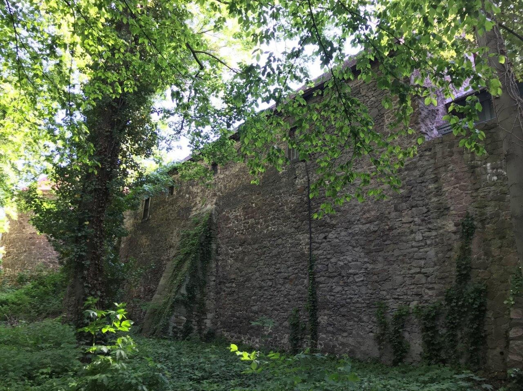 Oberburg Giebichenstein-哈雷必去景点