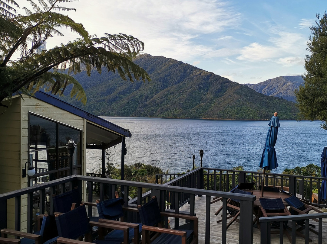 Punga Cove Resort主图