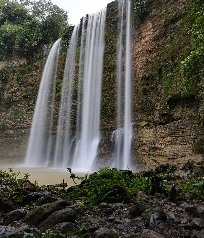 Dumaguete Taxi And Van Transport Services Plus Tours-杜马盖地必去景点