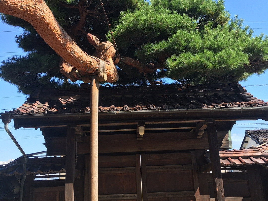 Former Honma Family Residence-酒田市必去景点