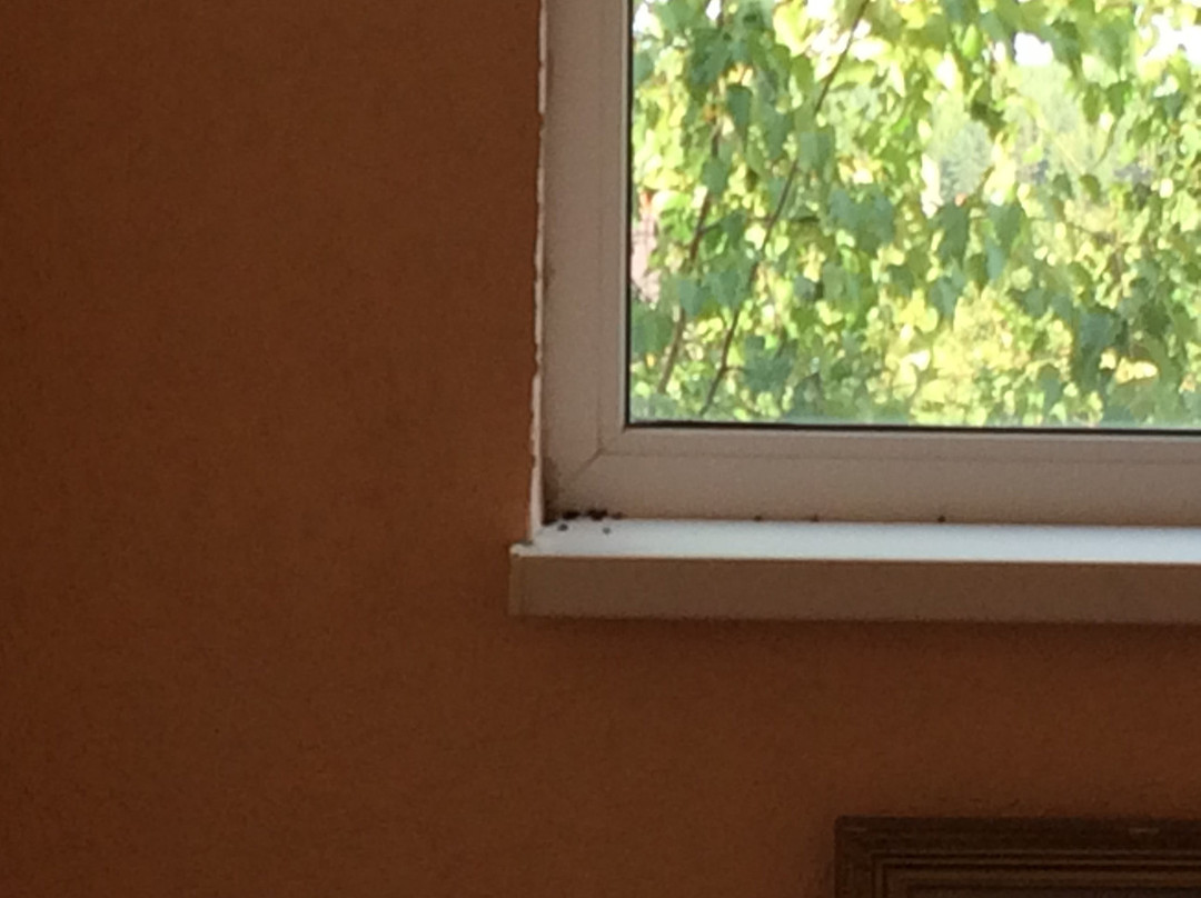 奥林普酒店主图