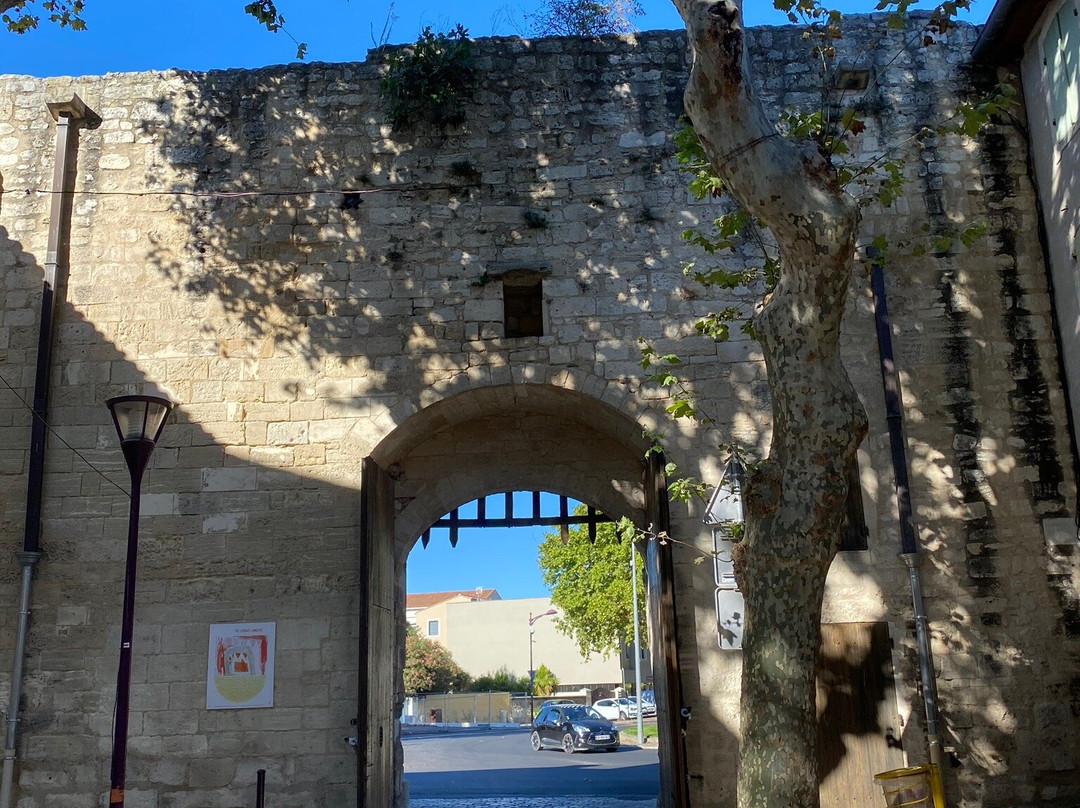 Porte Condamine Tarascon City Gate景点图片