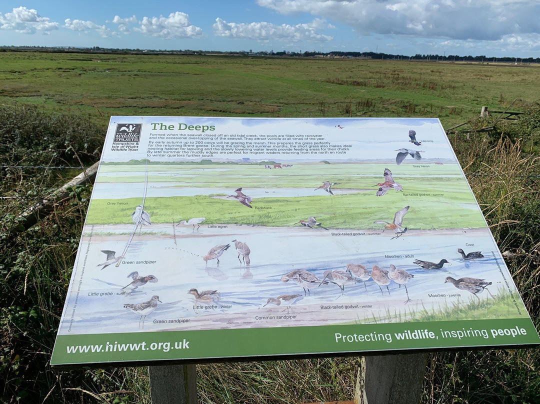 Farlington Marshes Wildlife Reserve景点图片