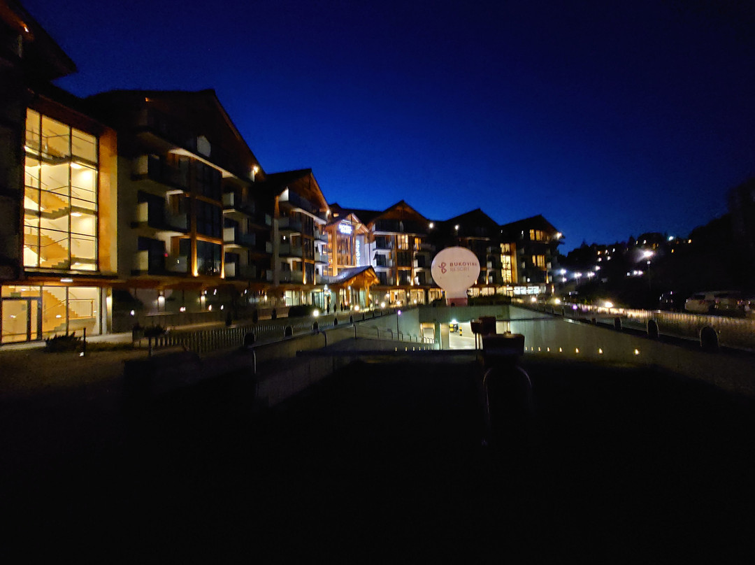 Hotel BUKOVINA主图