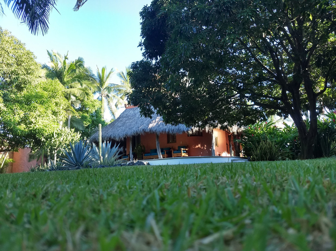 Villa Magnolia B&B主图