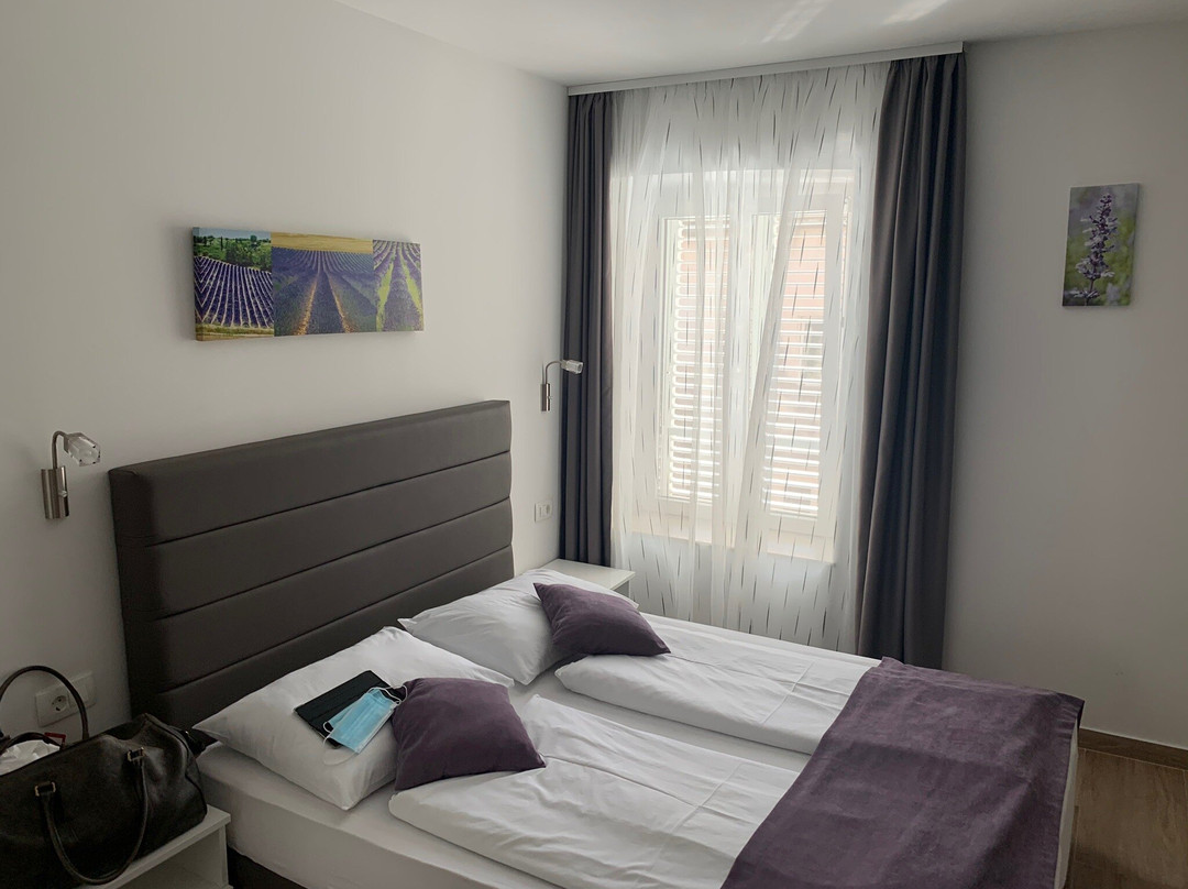 Apartments Villa Tudor主图