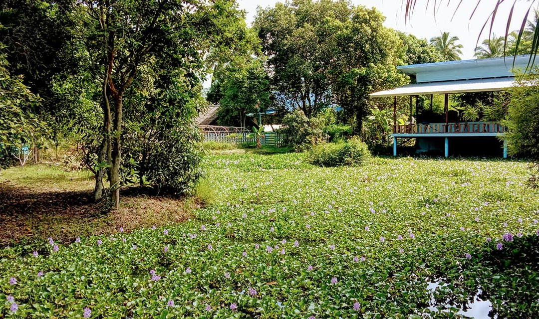 帕丽达花园度假村主图