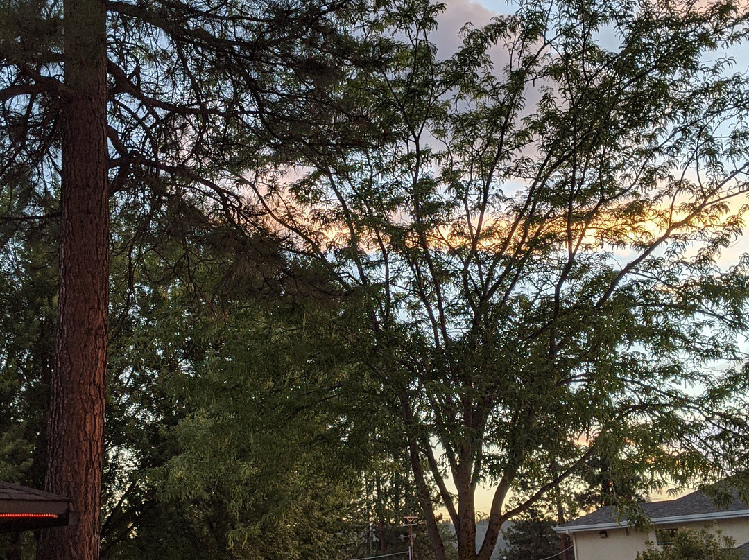 Shasta Pines Motel & Suites主图