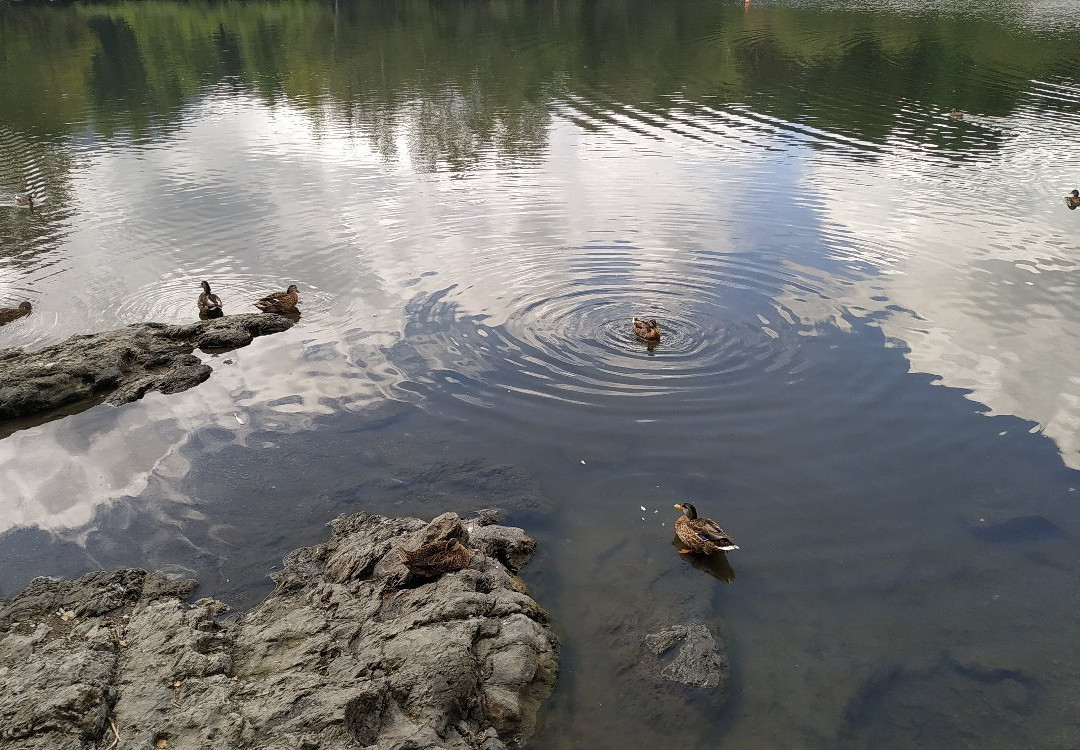 Lac de Lourdes-卢尔德必去景点