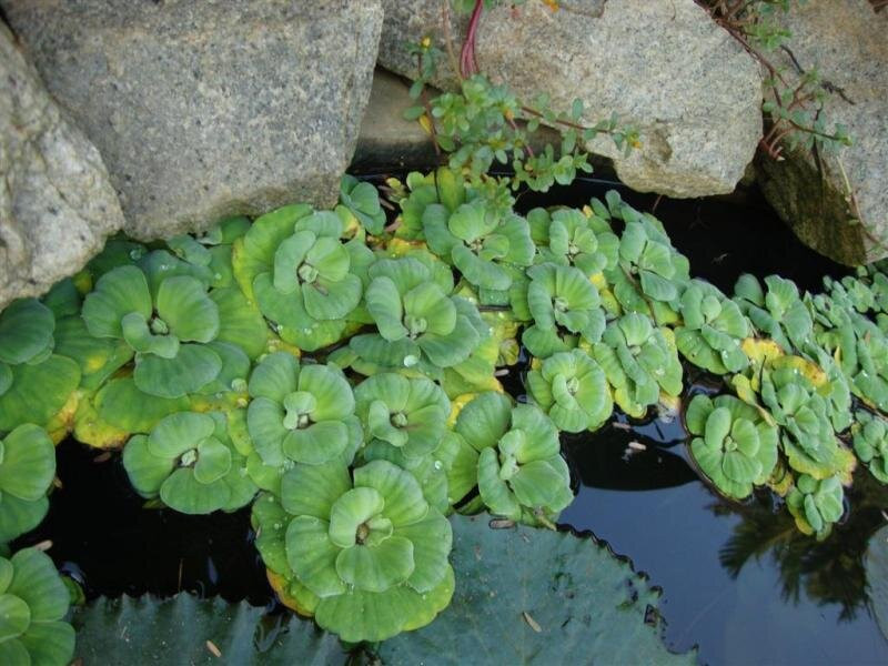 Prabhakar Homestay主图