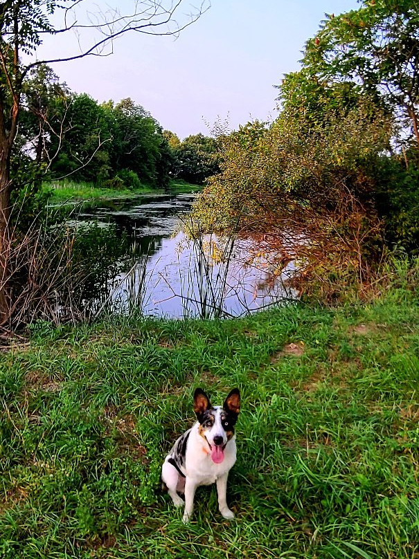 Super 8 by Wyndham Howe主图