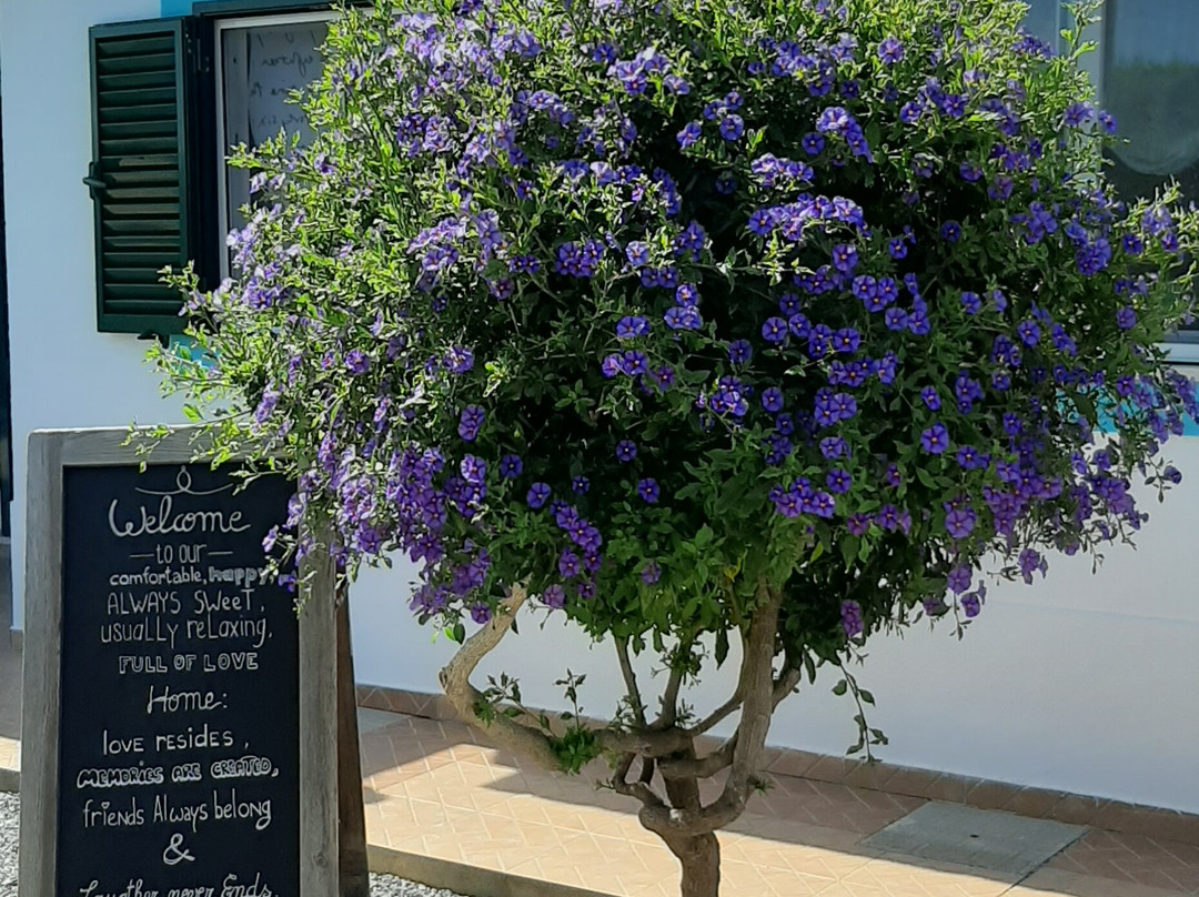 Maravilha da costa guest house主图