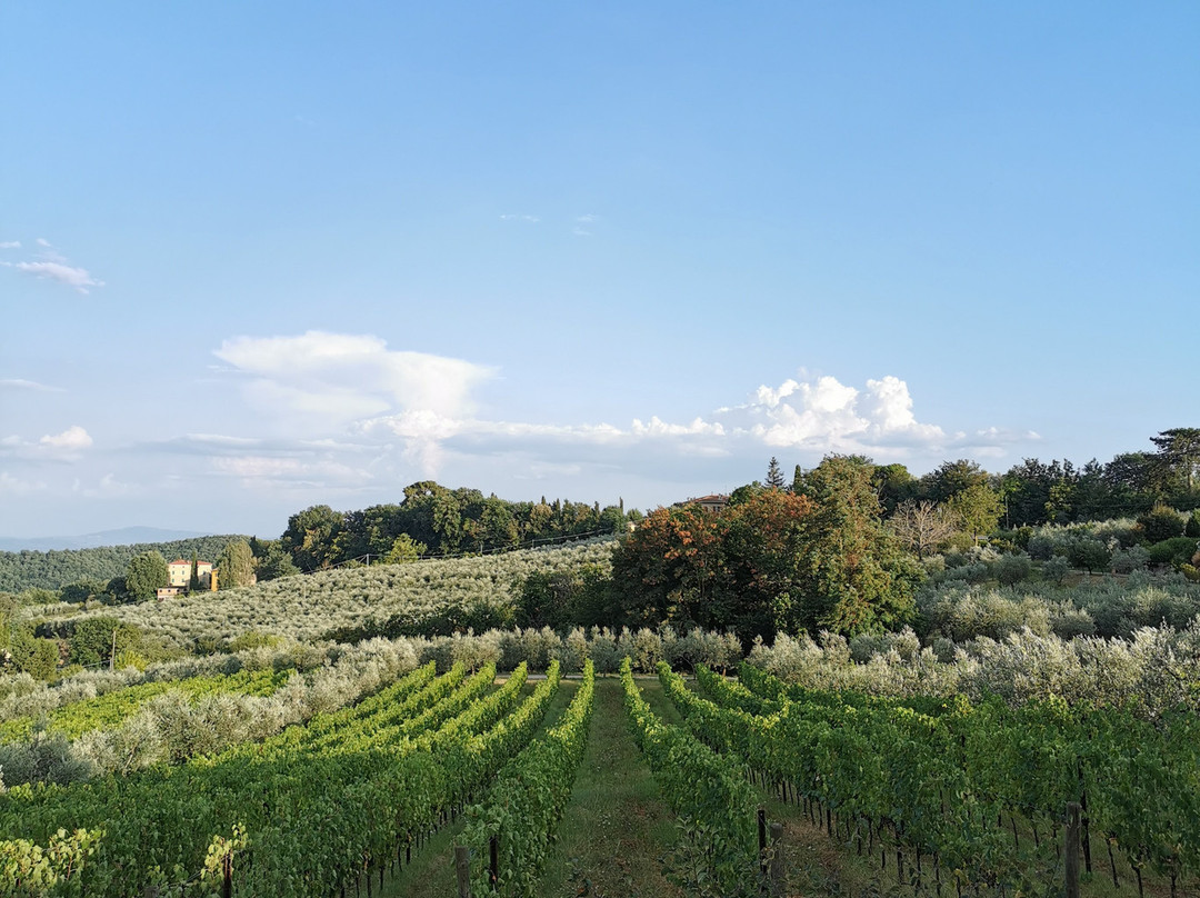Fattoria San Martino主图