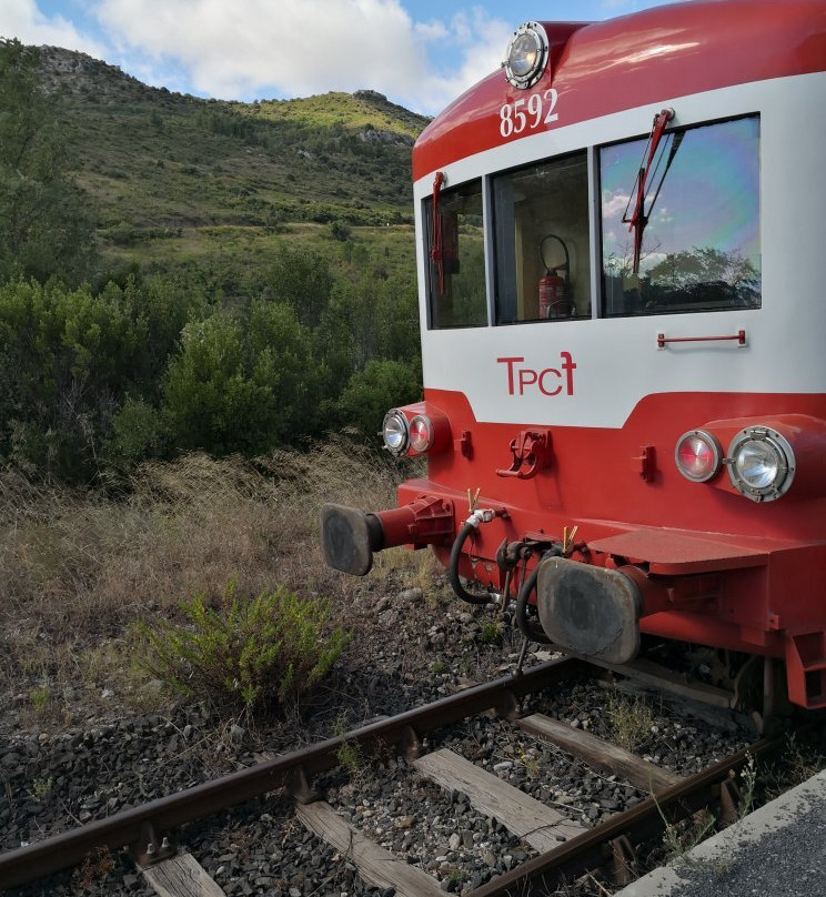 TPCF Le TRAIN ROUGE景点图片