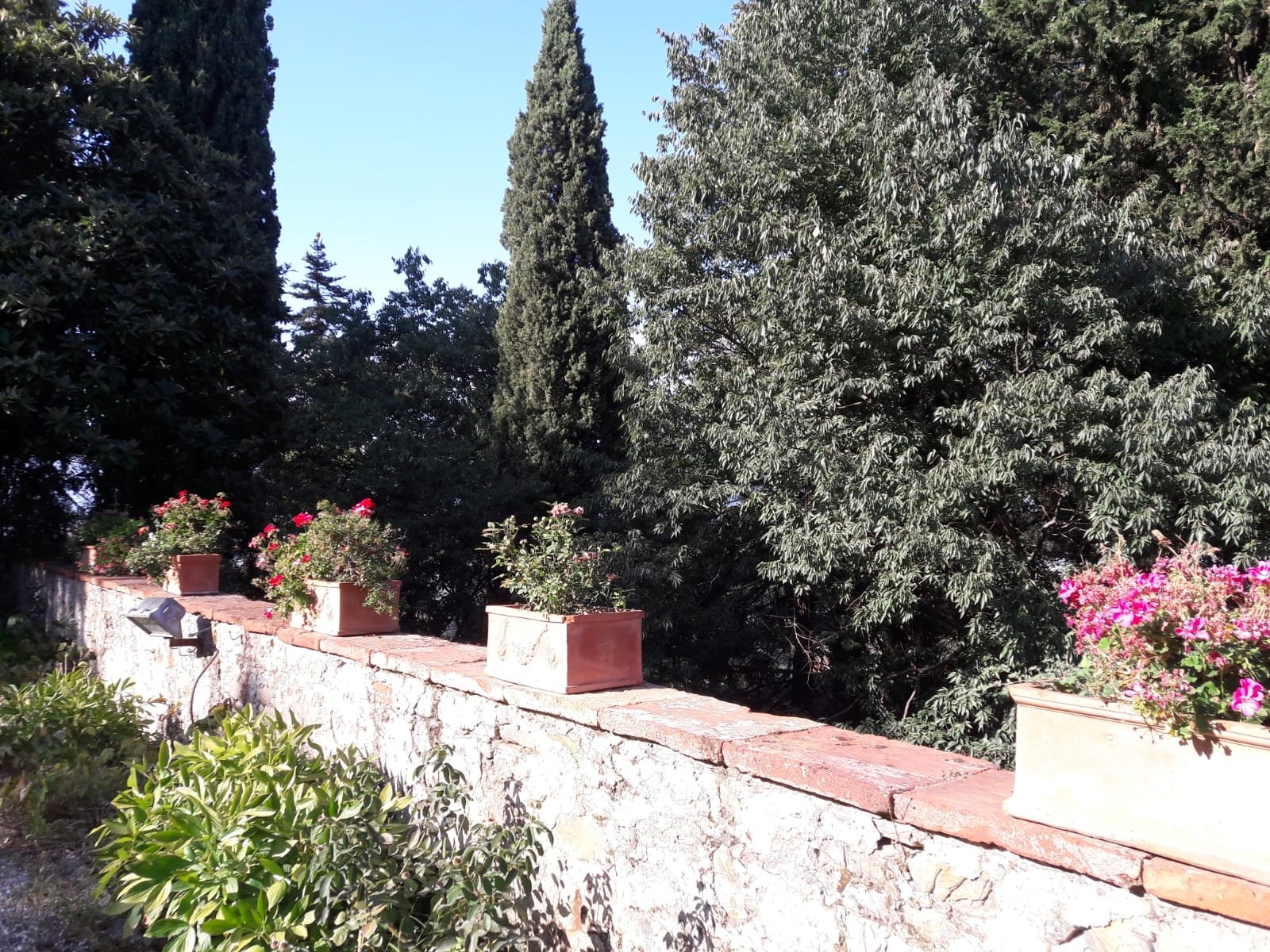 Tenuta di Capezzana-浴室