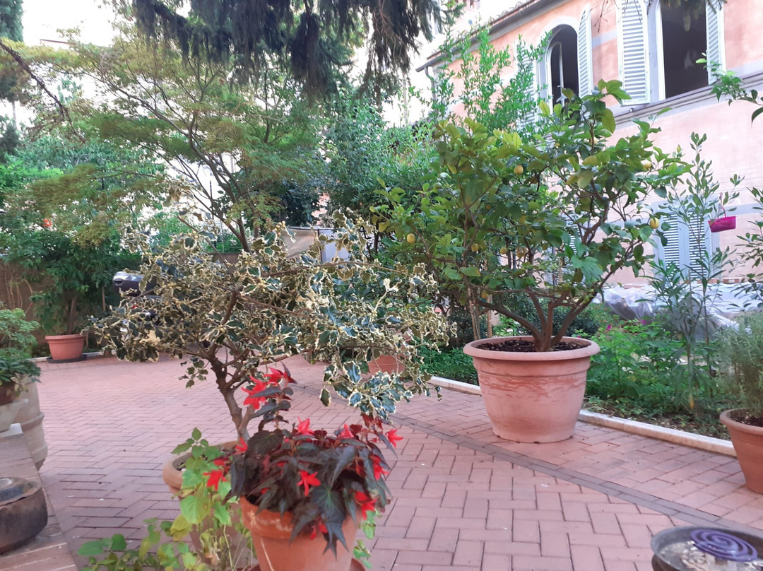 拉科珀塔莉卡玛塔住宿加早餐酒店主图