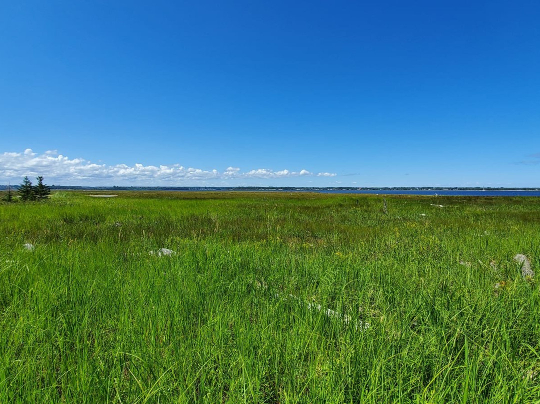 Daly Point Nature Reserve-Bathurst必去景点