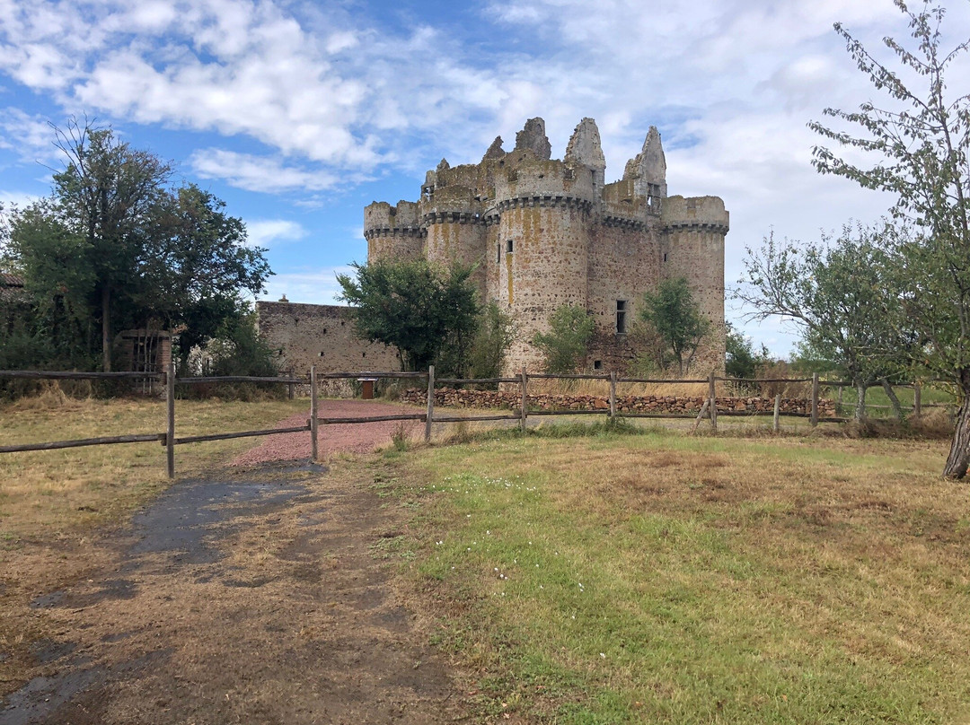 Chateau fort de l'Ebaupinay景点图片