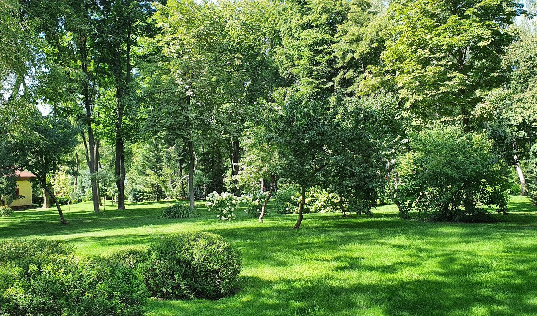 Gorky Central Park of Culture and Leisure-哈尔科夫必去景点