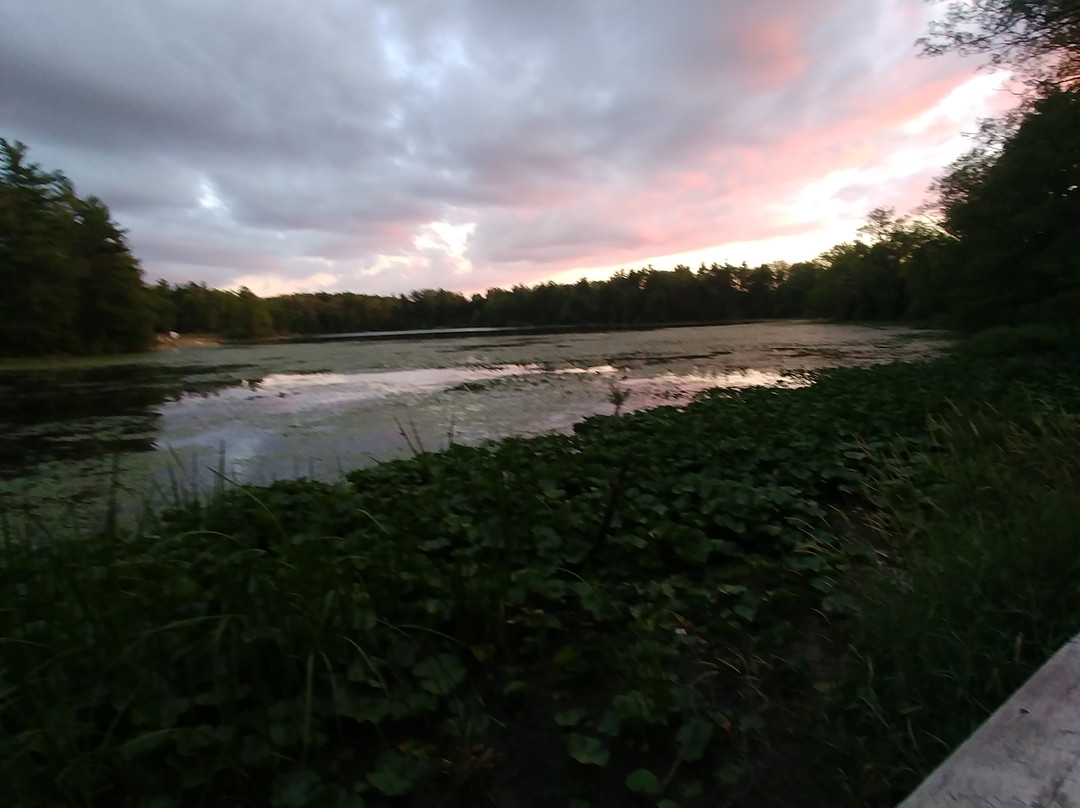 Pinehurst Lake Conservation Area-Paris必去景点