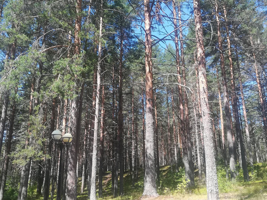 Essoyla旅游攻略图片