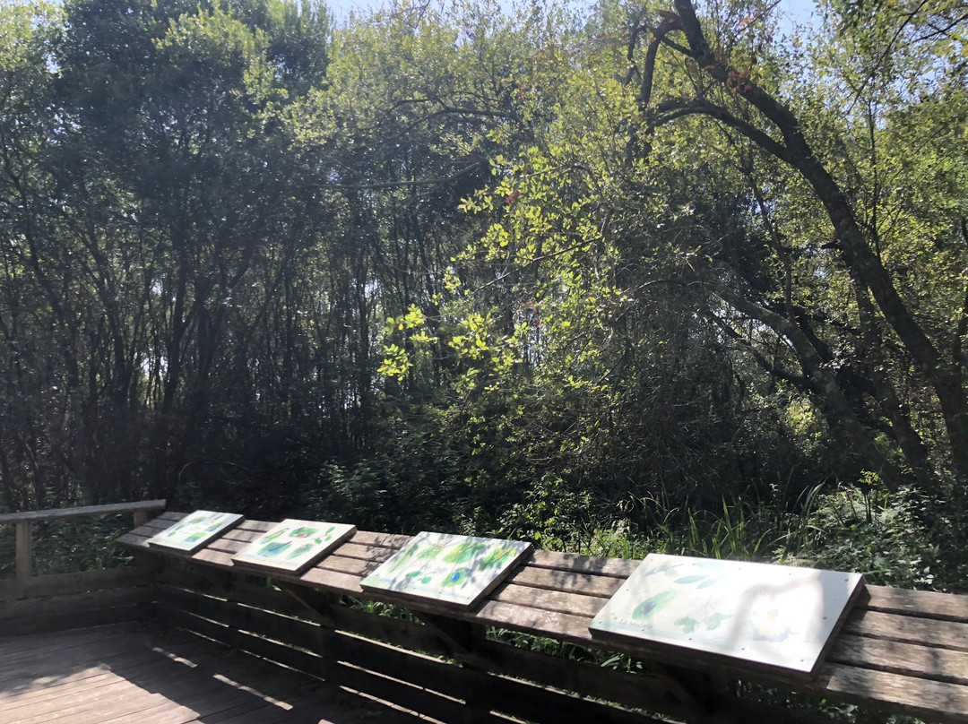 Réserve Naturelle Du Marais D'orx景点图片