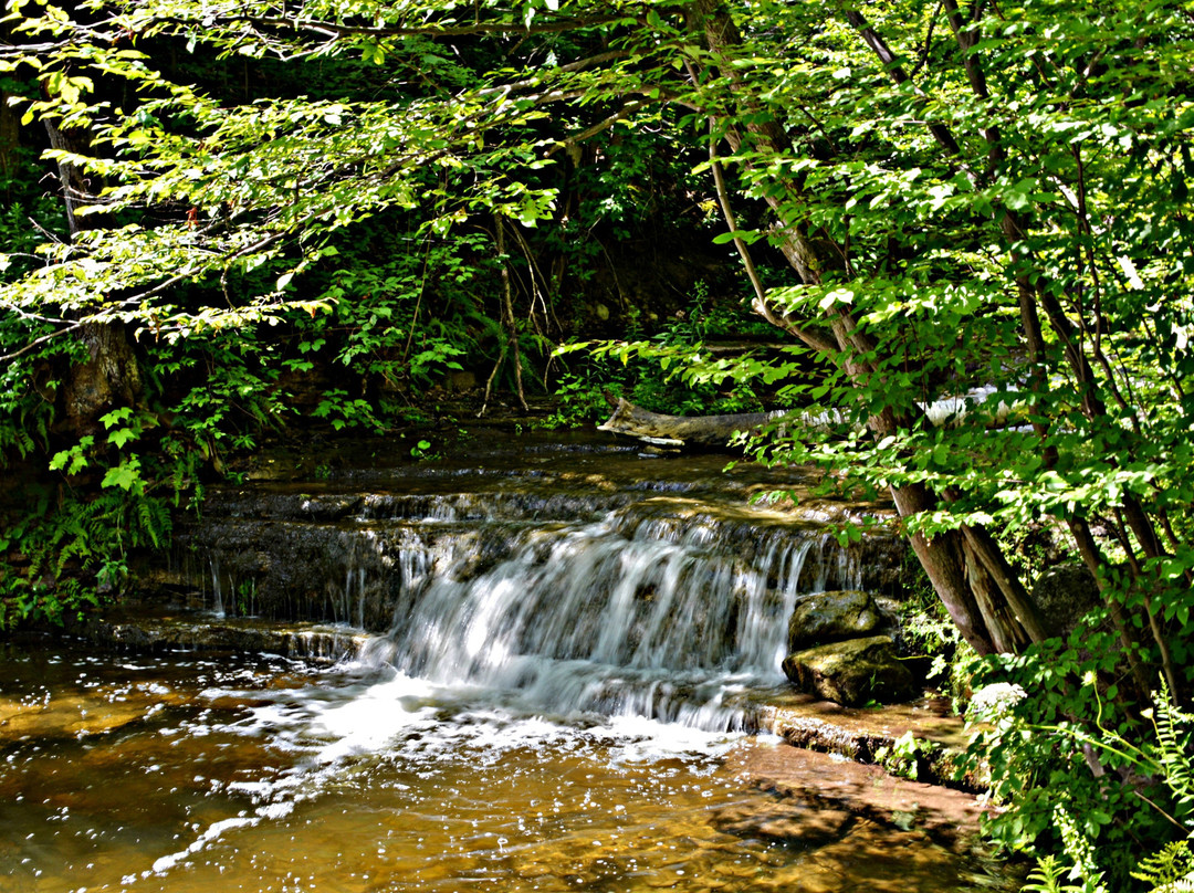 Silver Creek Conservation Area-Georgetown必去景点