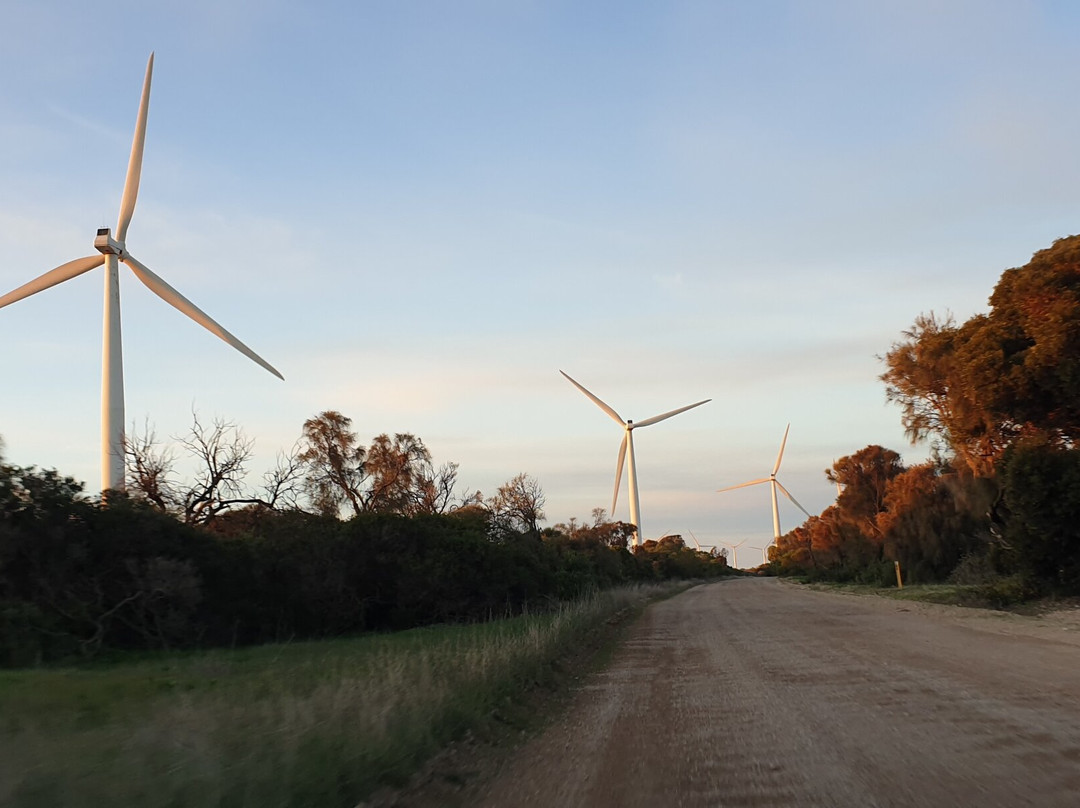 Wattle Point Wind Farm