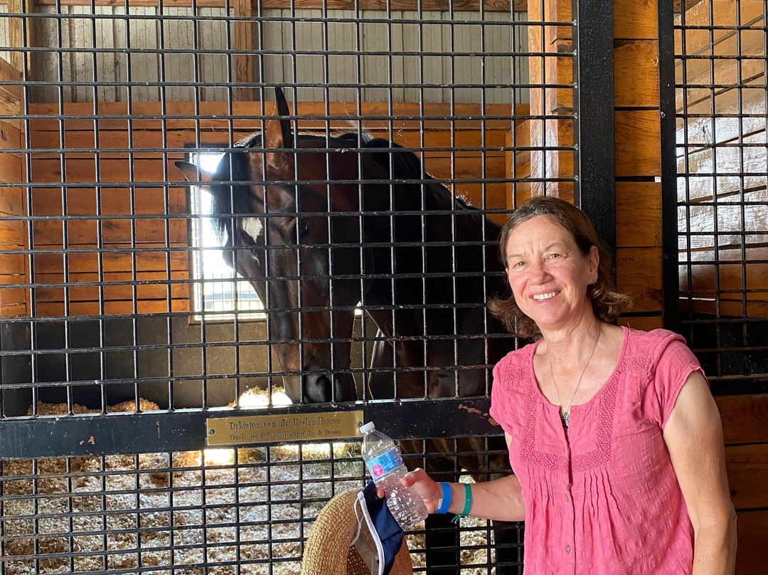 Spy Coast Farm-列克星敦必去景点