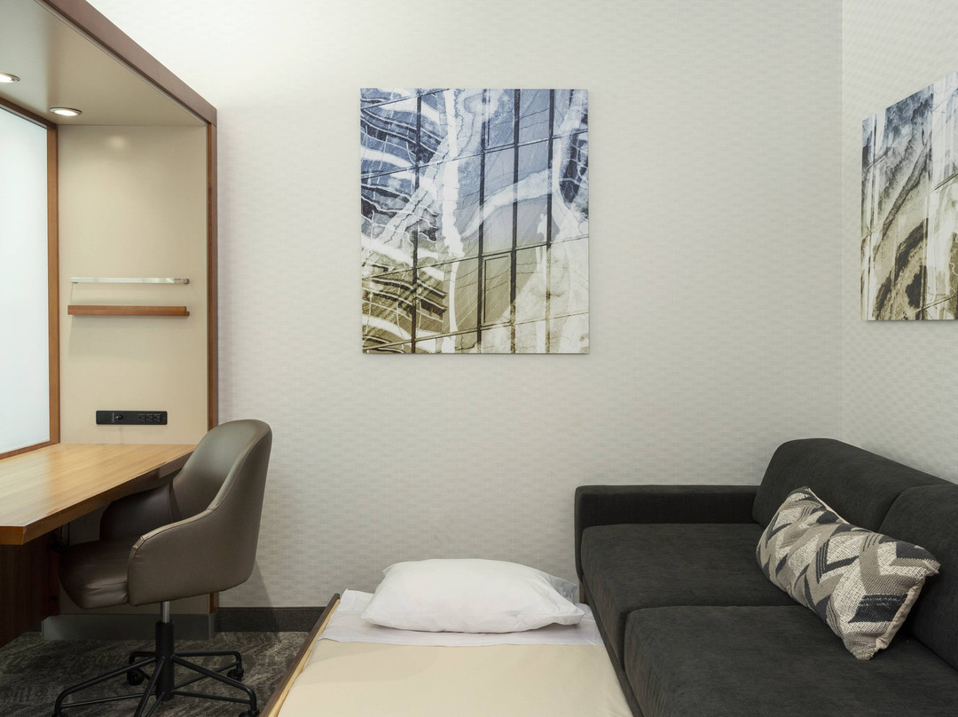 SpringHill Suites by Marriott Philadelphia Airport/Ridley Park主图
